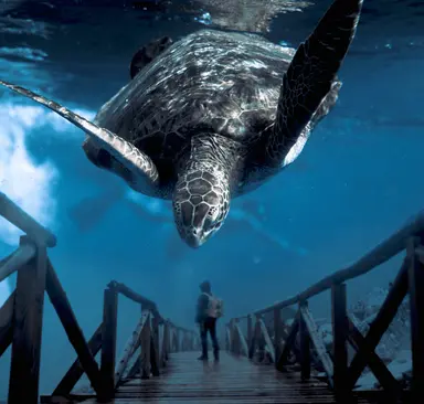 Place For Technical Blogs