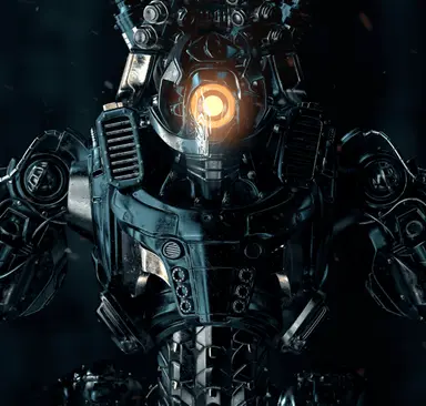 Place For Project Showcases